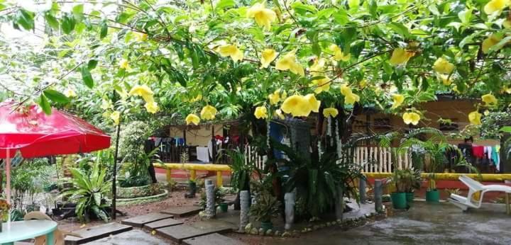 Ennas Place 코른 외부 사진